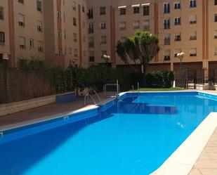 Swimming pool of Flat to rent in  Granada Capital  with Swimming Pool and Balcony