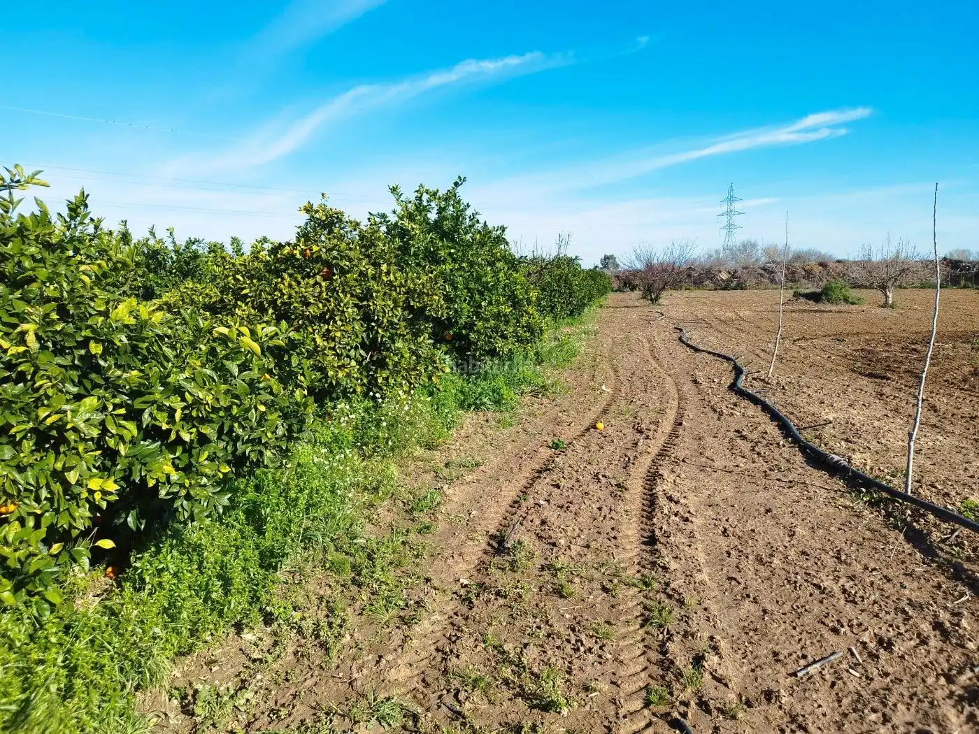Terreno rustico in vendita a Carretera de Cazalla 27, imagen 3