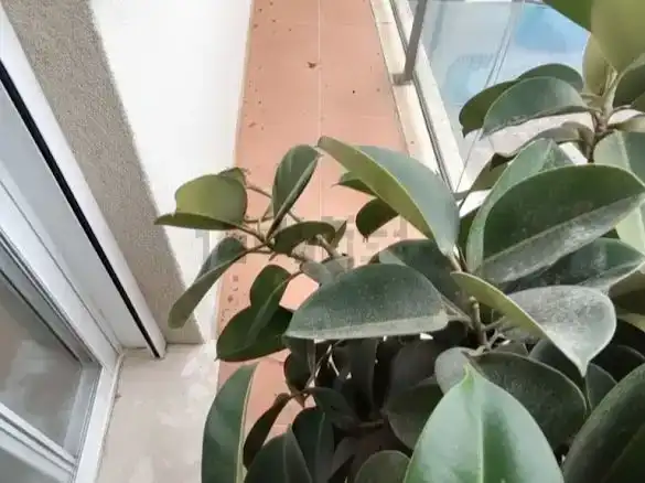 Terraza de Piso en venta en Alfafar con Balcón