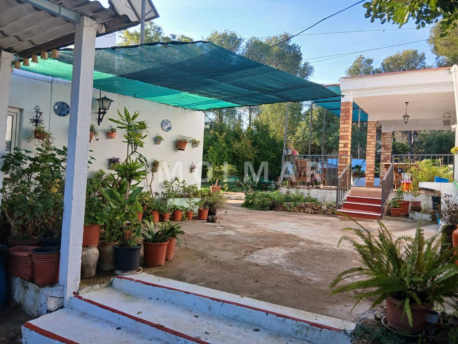 Terrace of Country house for sale in Carlet  with Private garden and Swimming Pool