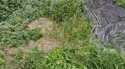 Foto 3 de Residencial en venda a Maria de Les Angustias, Ca n'Anglada, Barcelona