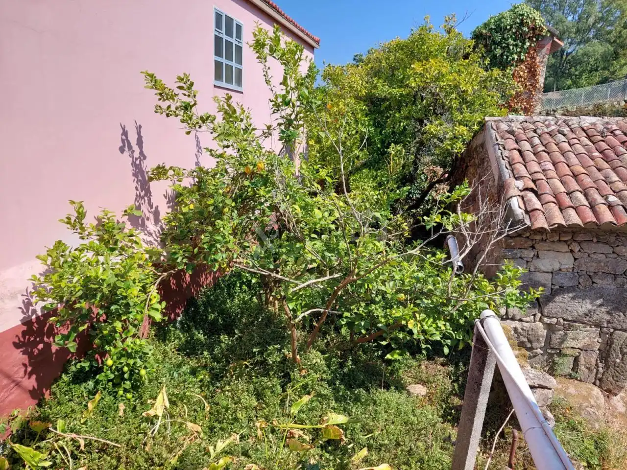 Detached homes for sale in Boiro