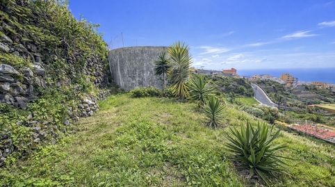 Foto 3 de Casa o chalet en venta en La Vega - El Amparo - Cueva del Viento, Icod de los Vinos