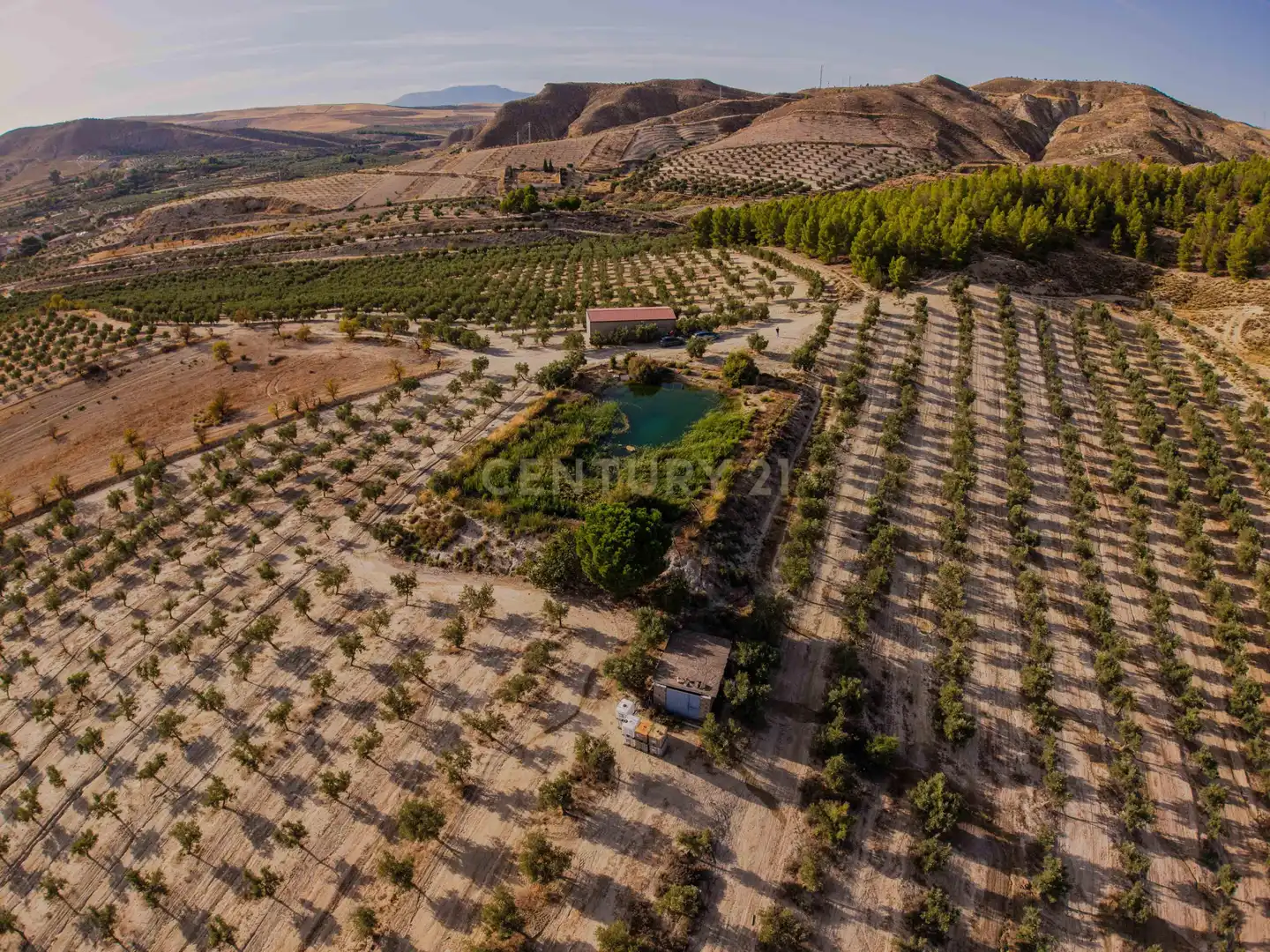 Terreno rústico en venta en 472M+GF La Malahá, Spain, imagen 5
