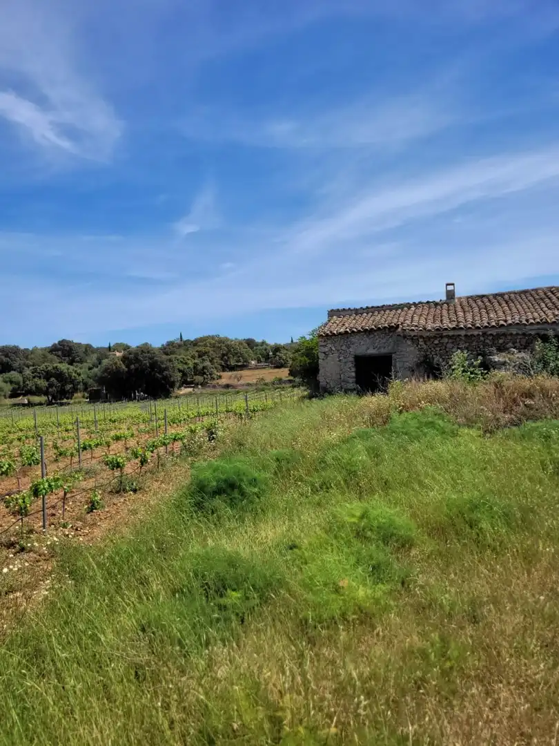 Country house for sale in Costitx, imagen 10