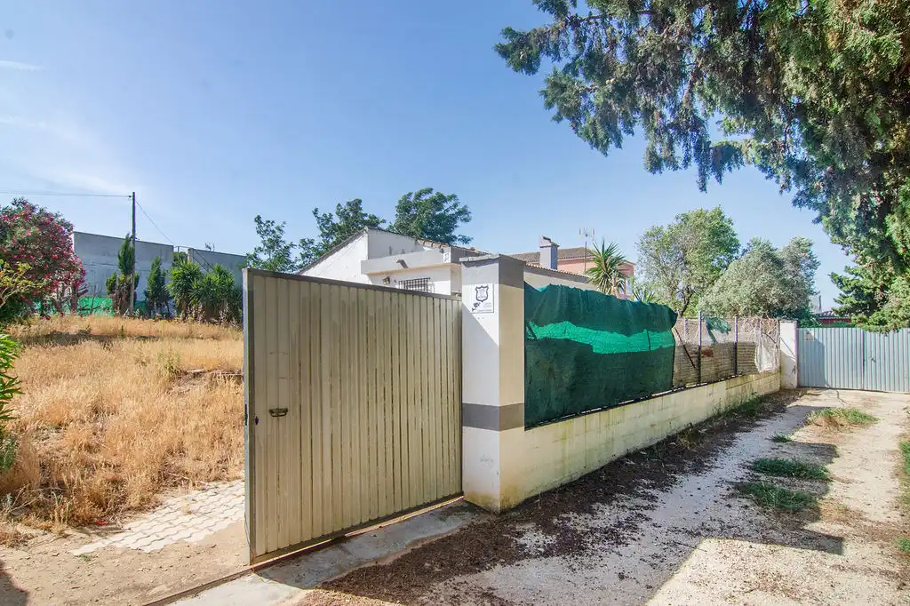 Exterior view of Detached homes for sale in Chiclana de la Frontera