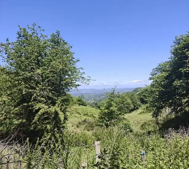 Terreno rustico in vendita a Proaza, imagen 10