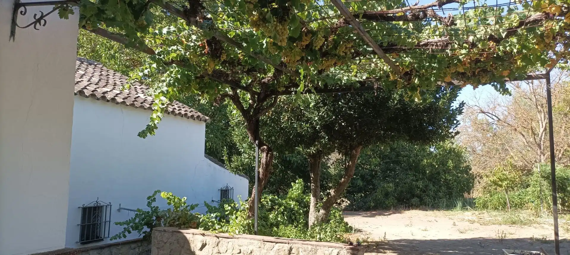 Casa rústica amb piscina en venda a Partidas Norte, imagen 35