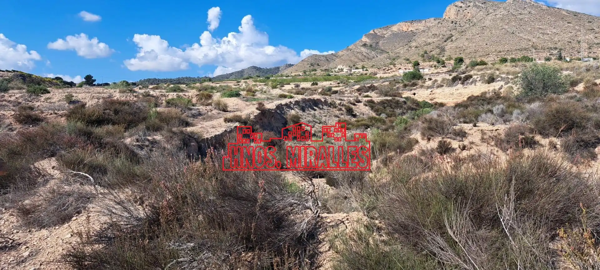 Residential land for sale in Novelda, imagen 3