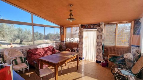 Finca con pozo proprio y luz solar a cerca de L'Ampolla, immagine 5