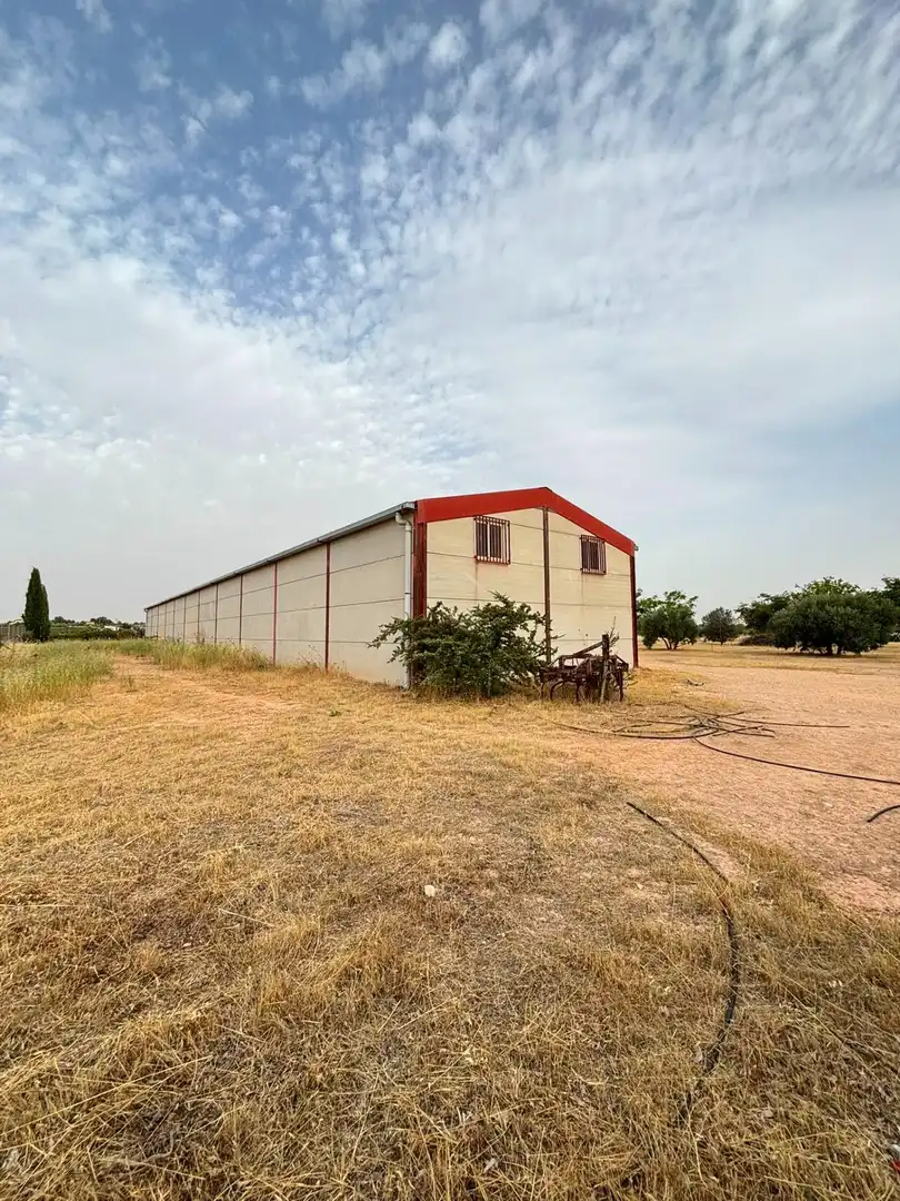 Nave industrielle à vendre à Valdepeñas, imagen 2