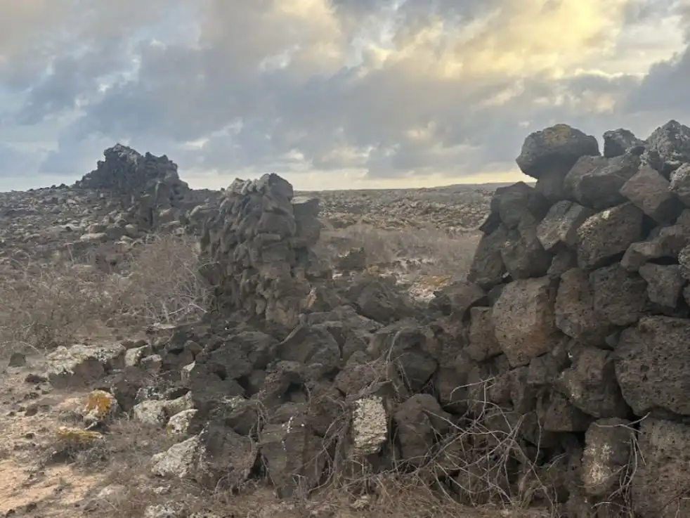 Residential zum Verkauf in La Oliva