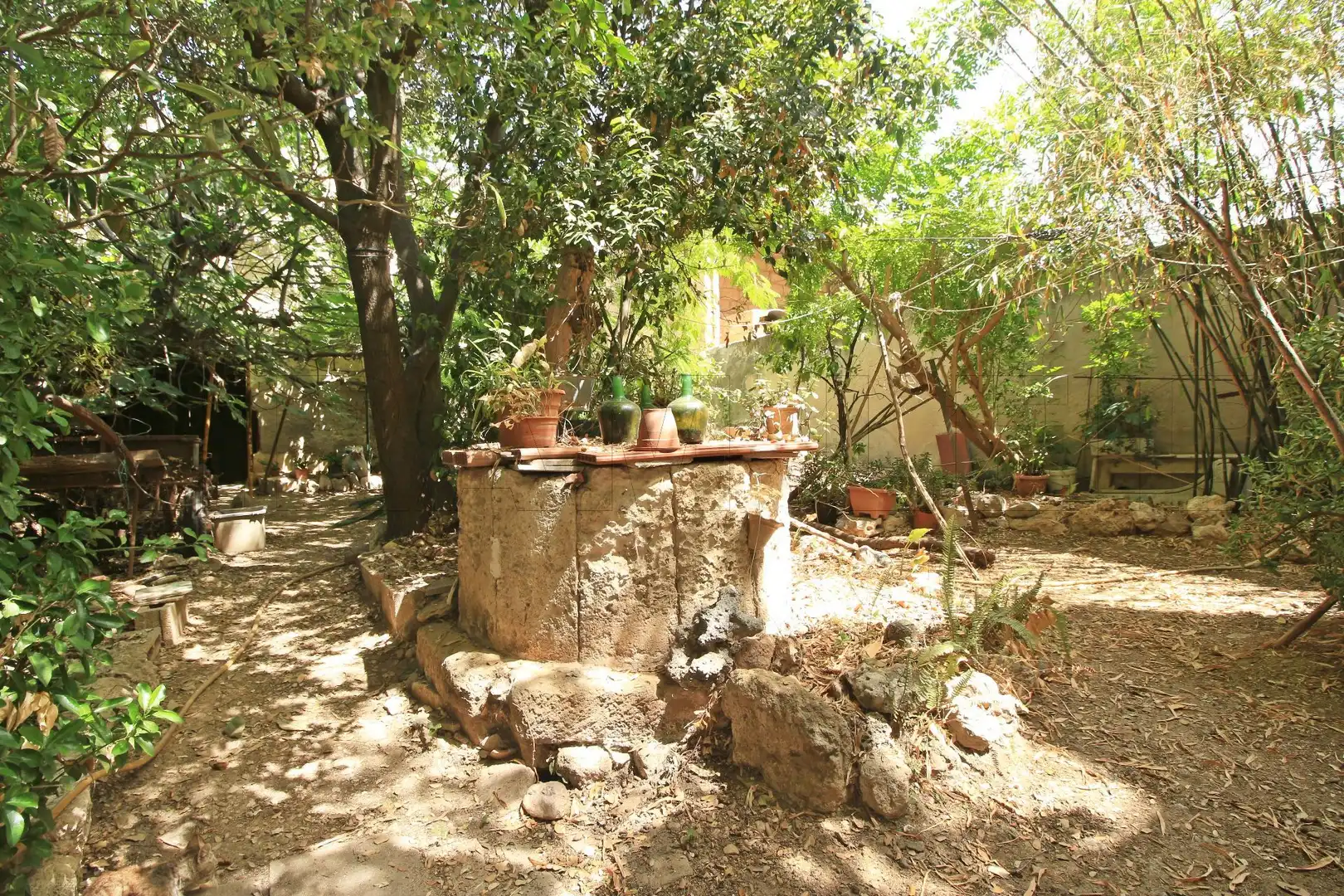 Jardí de Casa o xalet en venda en Sa Pobla amb Jardí privat