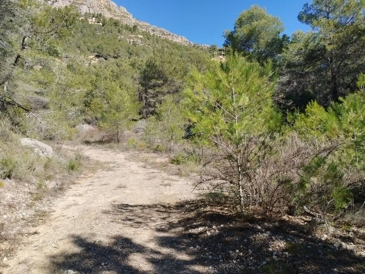 Terreno en venta en La Morera de Montsant