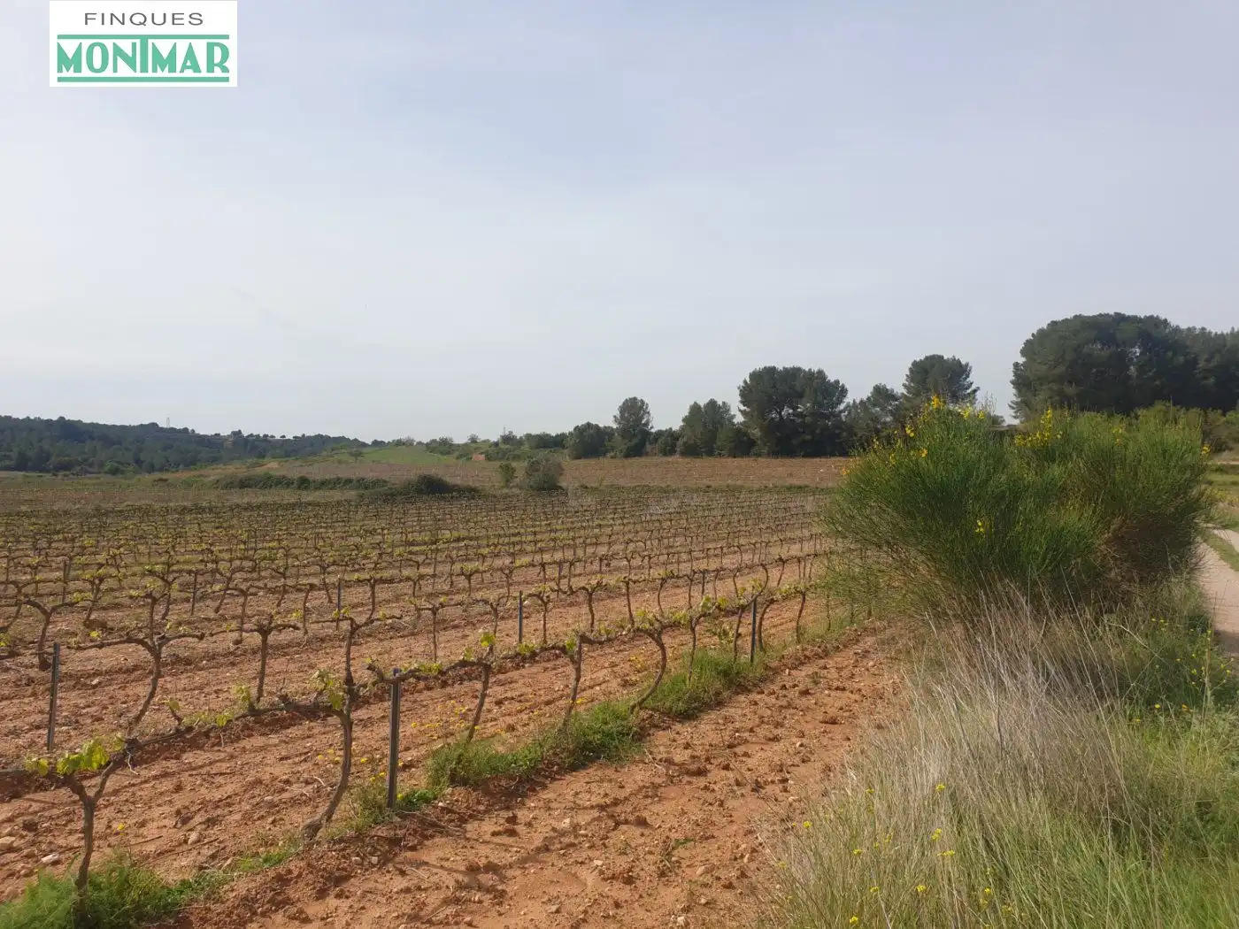 Country homes for sale in Vilabella