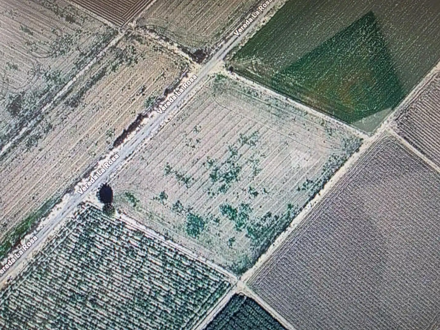 Terreno rustico in vendita a San Fulgencio, imagen 2