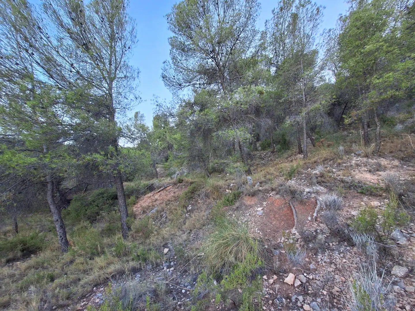 Rural land for sale in Castalla, imagen 2