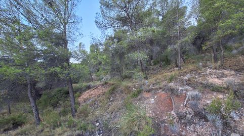 FINCA RÚSTICA FORESTAL EN VENTA CON VISTAS PANORAMICAS  CASTALLA ALICANTE, immagine 2