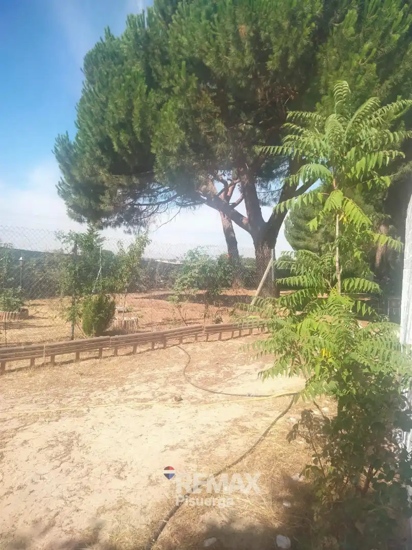 Terreni e lotti in vendita a Lugar Comun Viejo 2, imagen 20