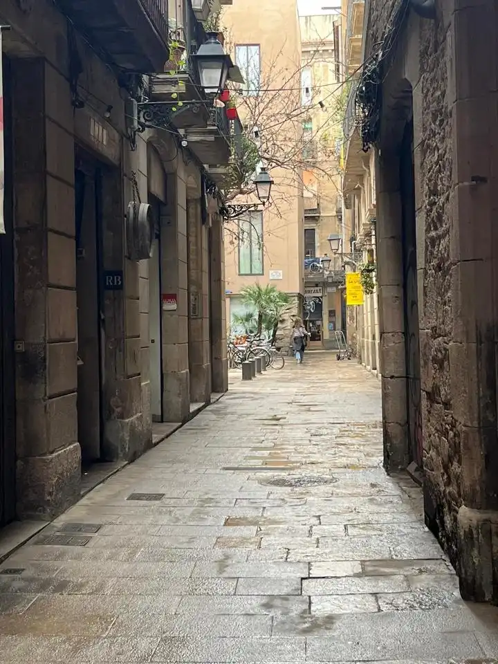 Local comercial en venta en Ciutat Vella, imagen 9