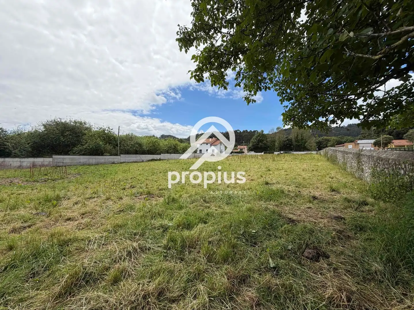 Terreno rustico in vendita a VILLAHORMES, imagen 3