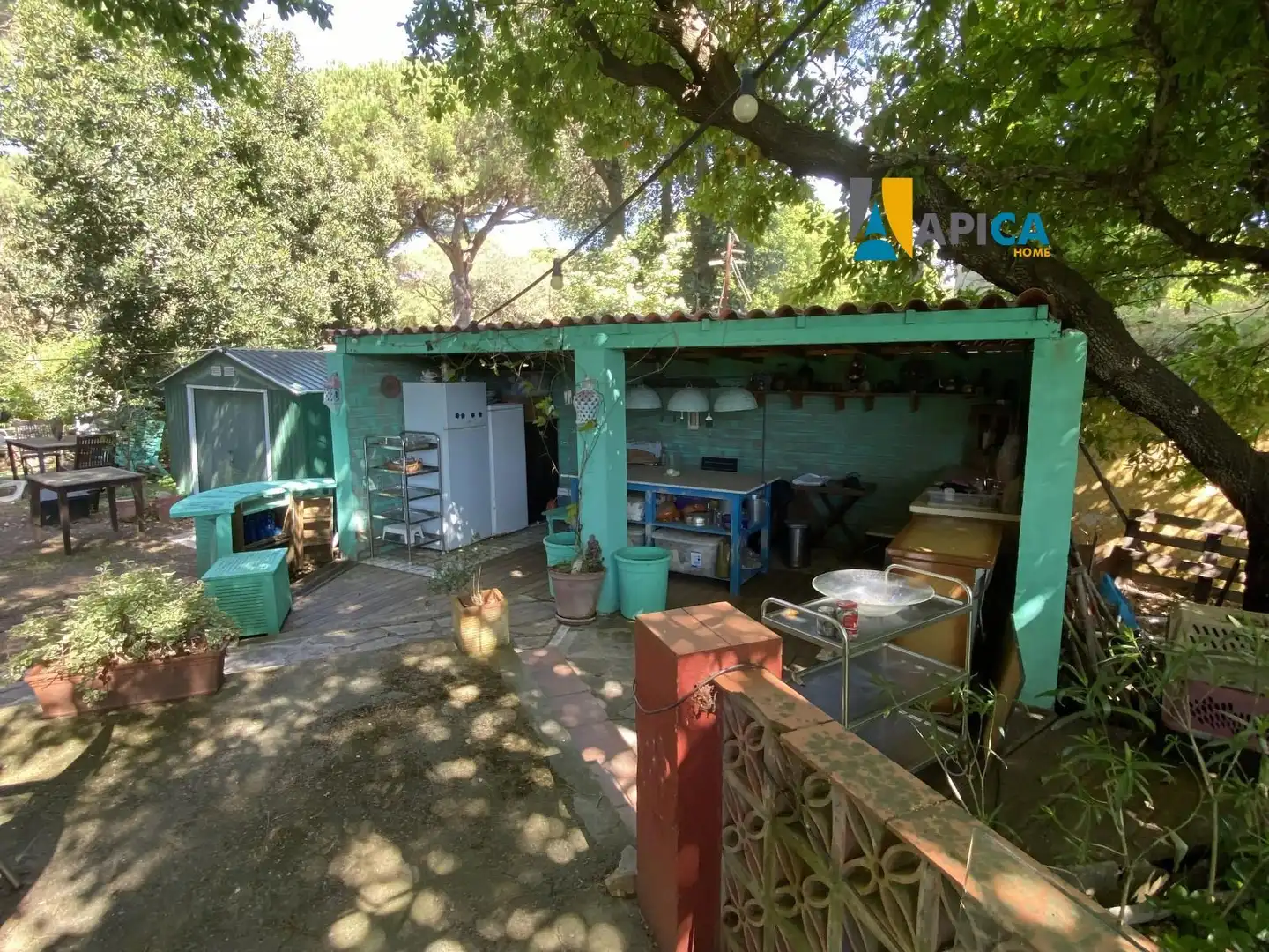 Rural land for sale in Castellar de la Frontera, imagen 18