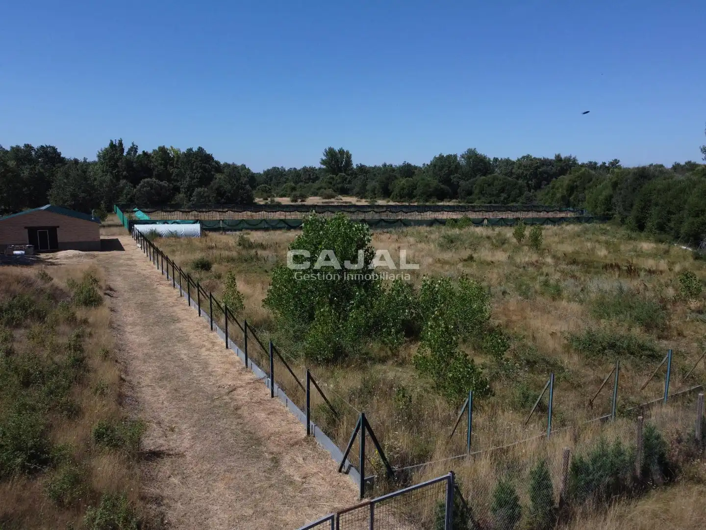 Terreno en venta en Fresno de Cantespino