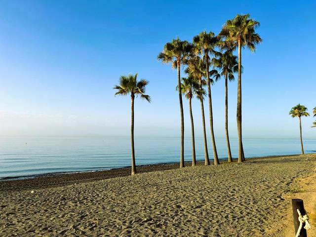 Apartamento en Venta en Seghers