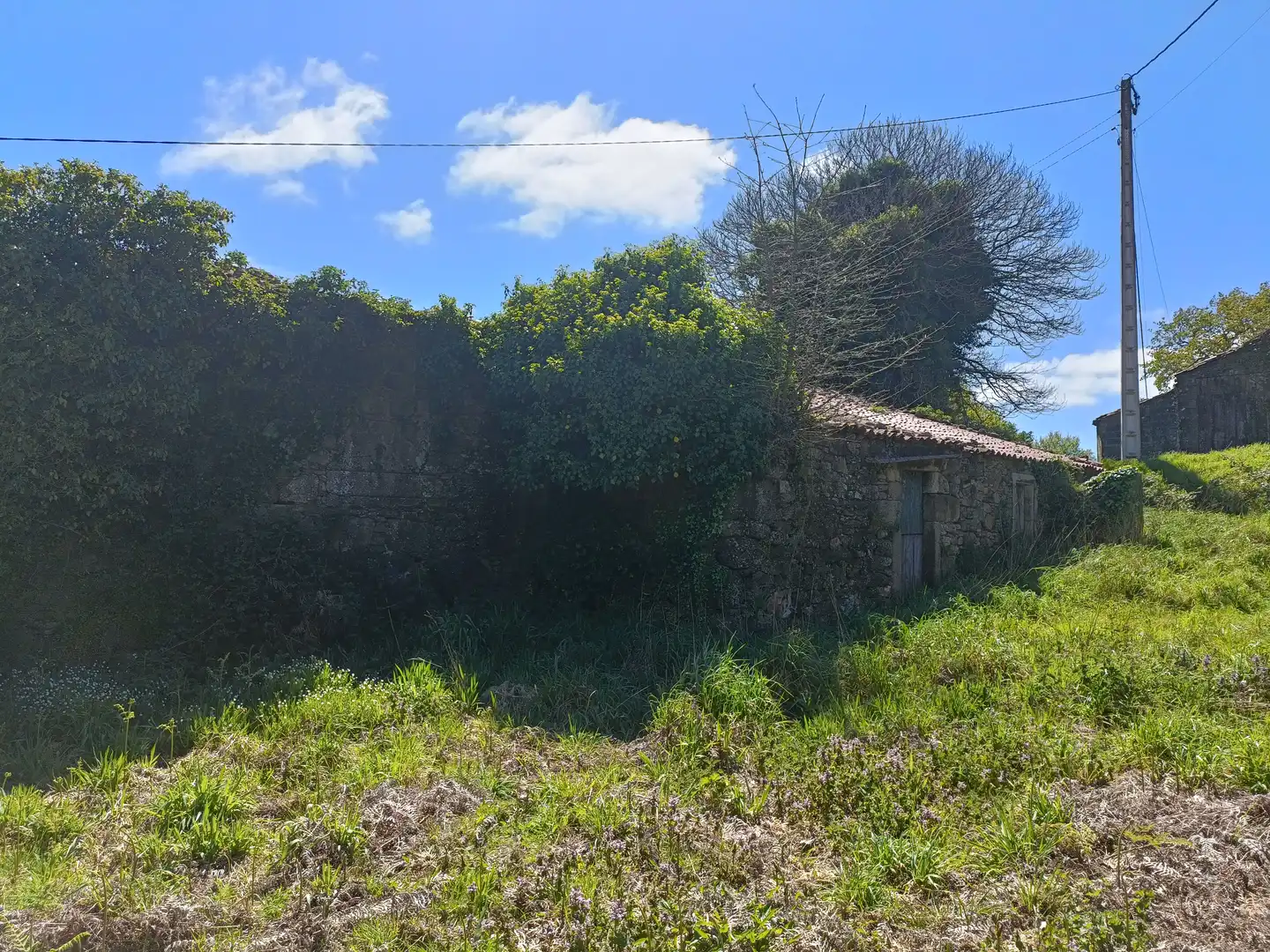Casa con jardín en venta en Curtis, imagen 17