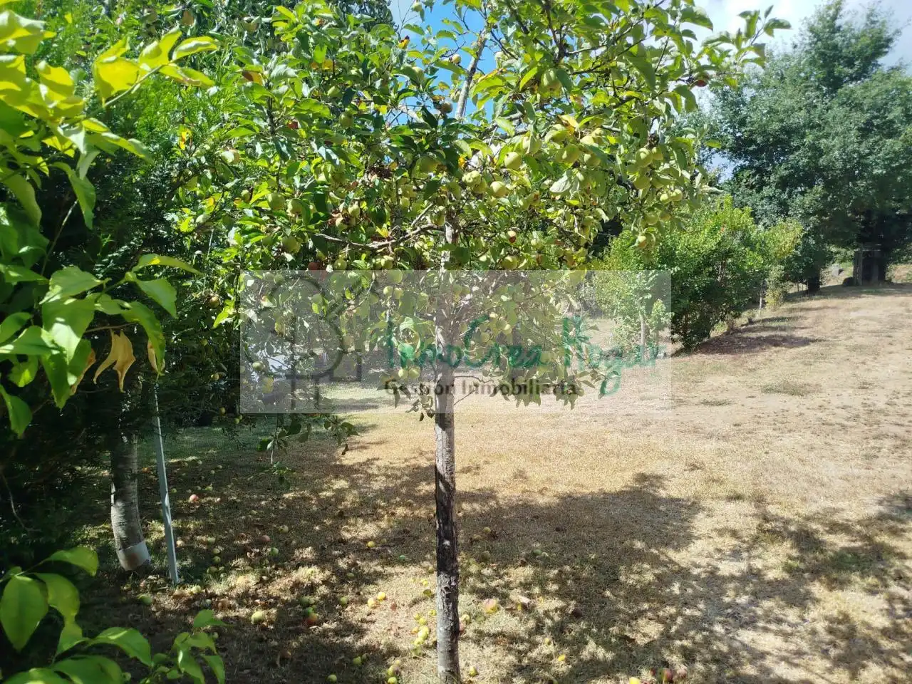 Grundstücke zum Verkauf in Ponteareas