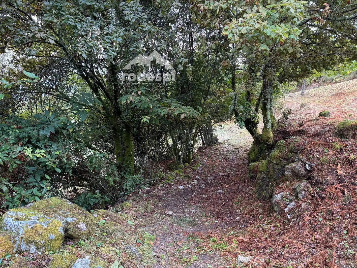Casa en venta en A Cañiza, imagen 13