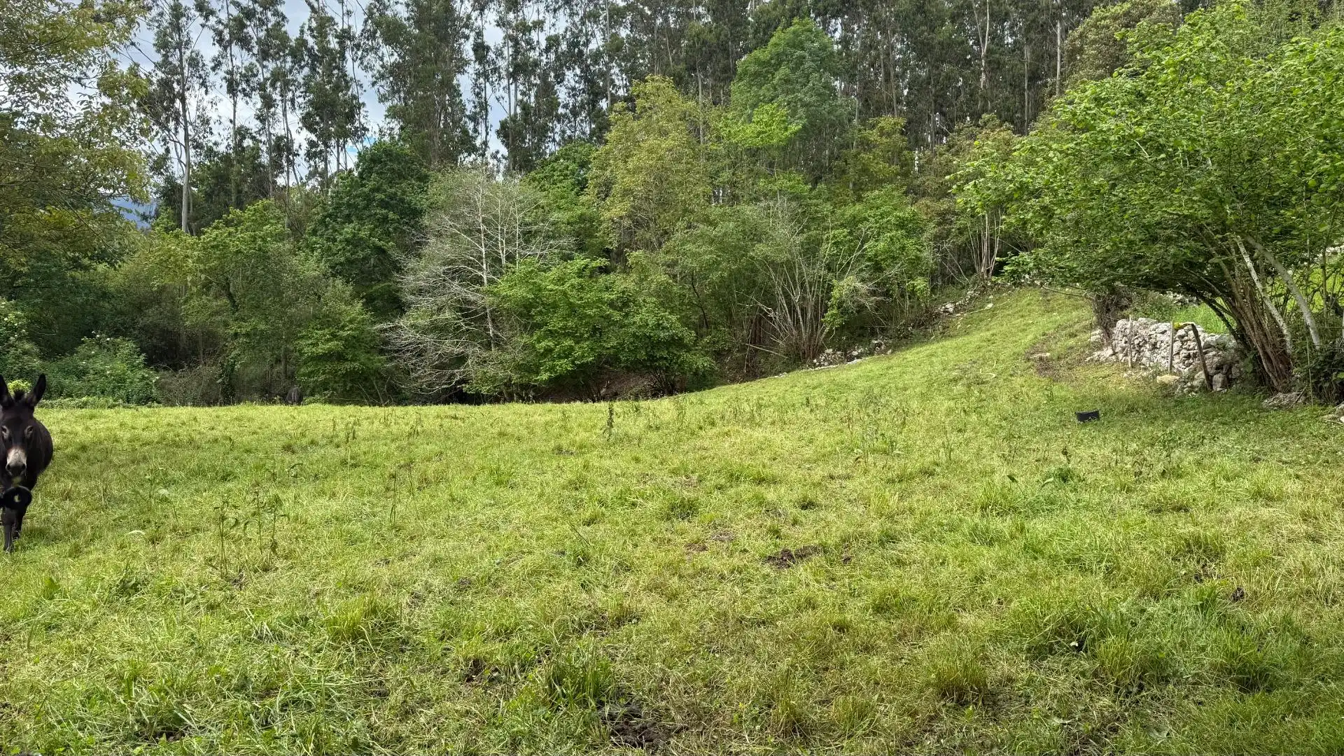 Land for sale in Valdáliga