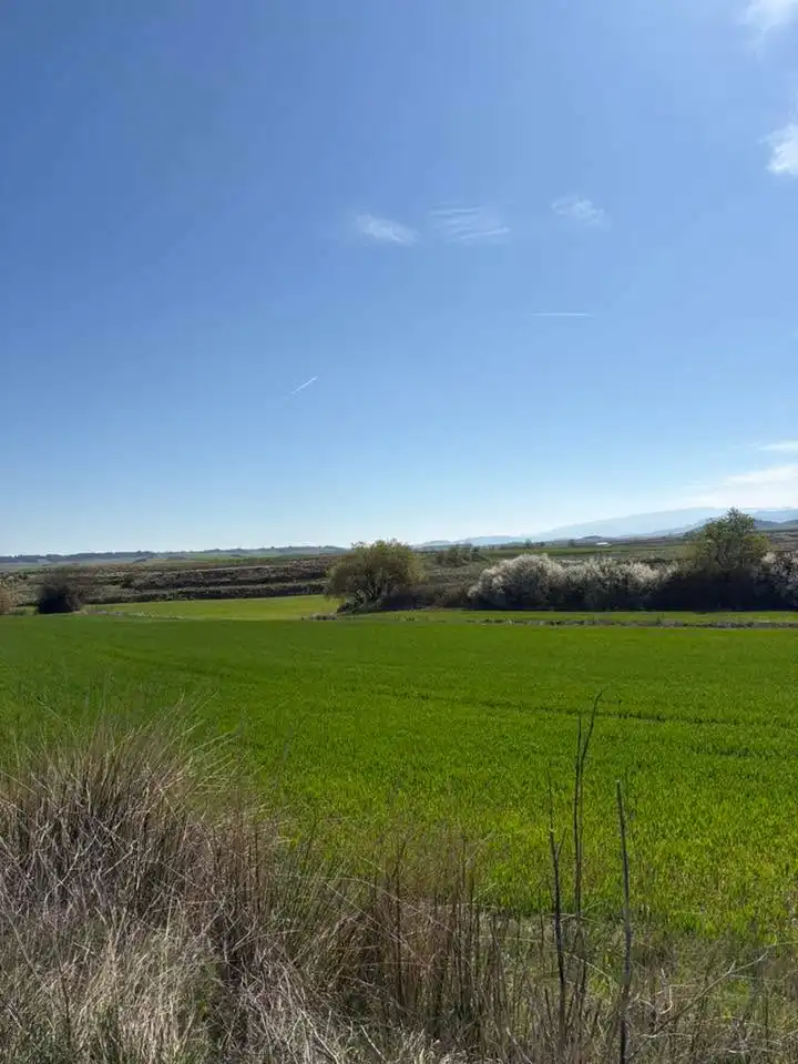 Rustikales Grundstück zum Verkauf in Villamediana de Iregua, imagen 3