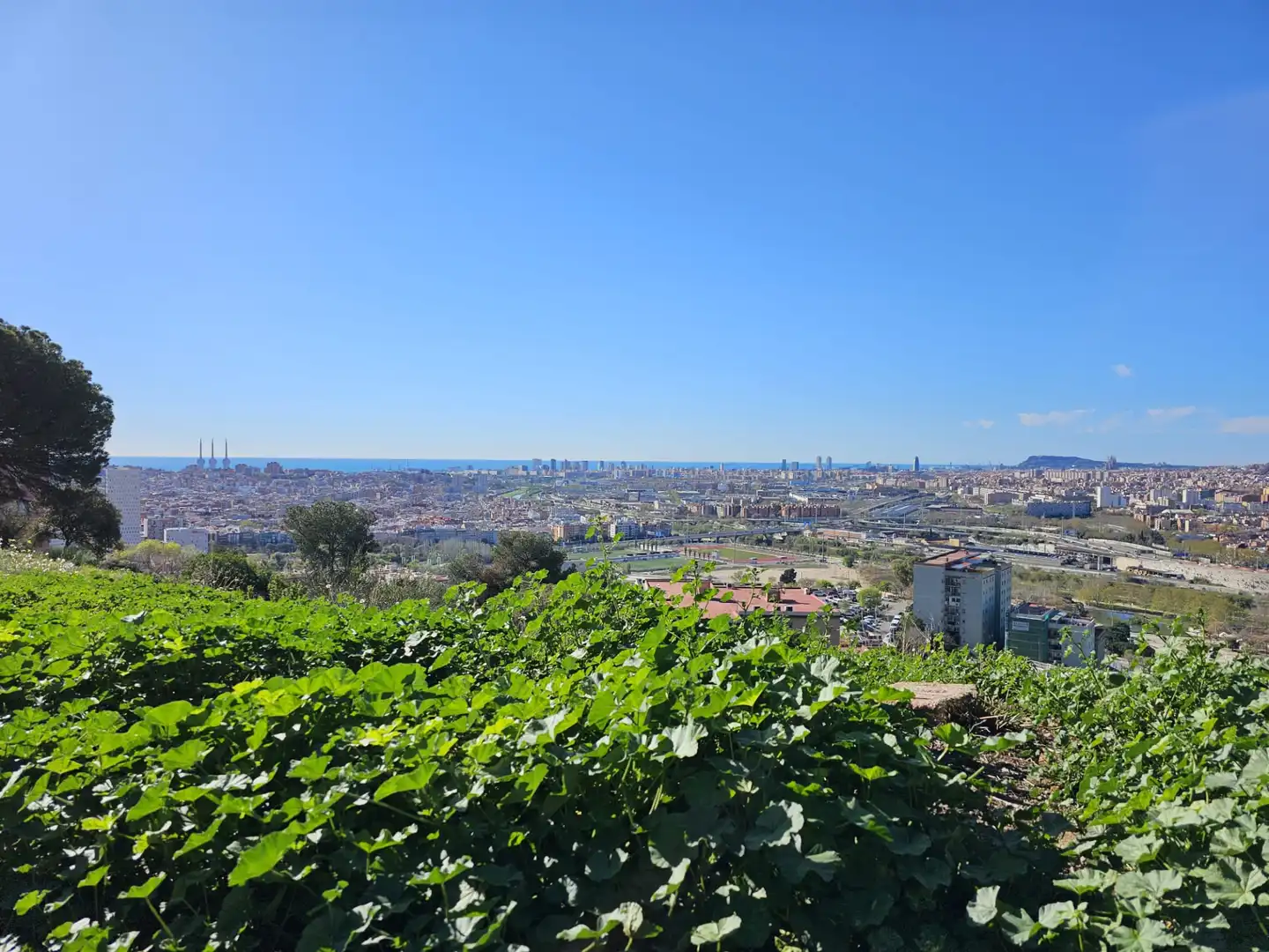 Pis en venda a Carrer de Còrdova, Can Franquesa