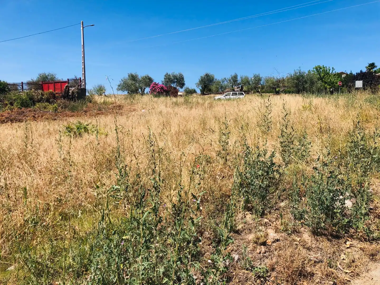 Wohnbaugrundstück zum Verkauf in Carretera de Ajalvir, imagen 10