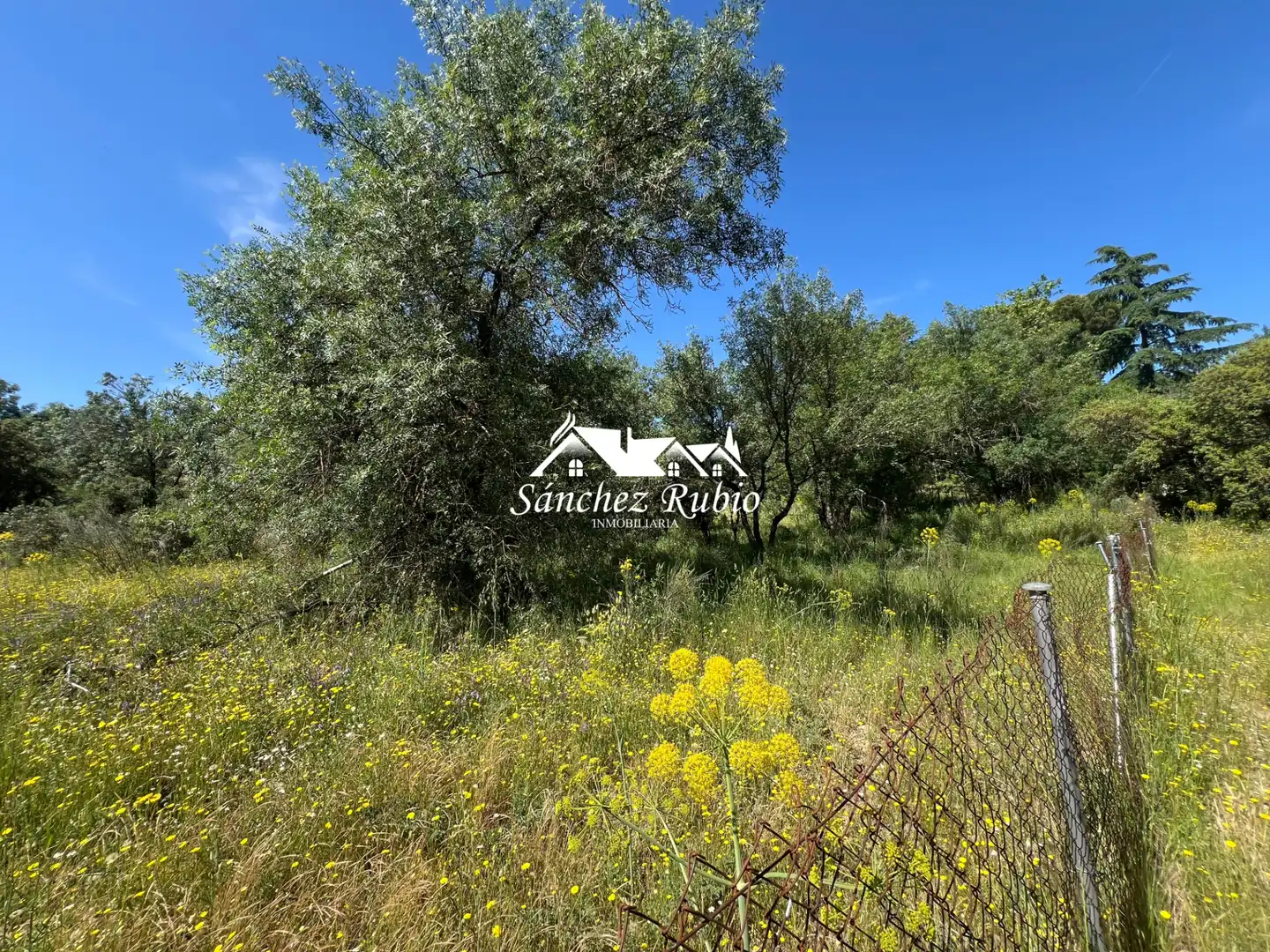 Terreno residencial en venta en Las Matas  - Peñascales, imagen 3