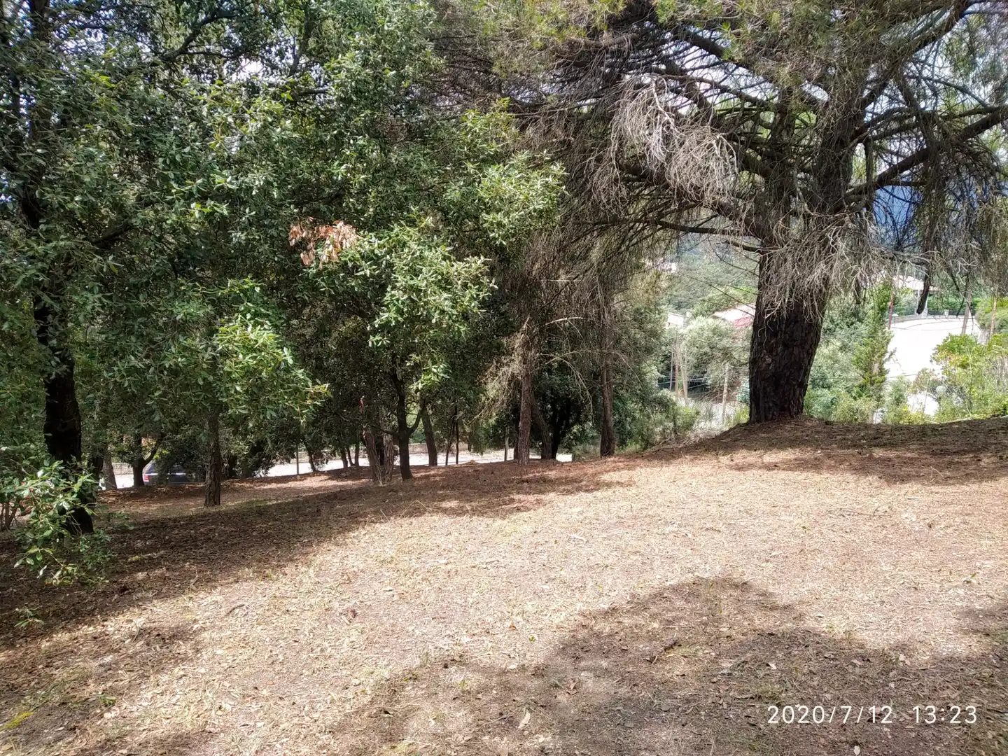 Residential land for sale in Carrer de Sant Bernat 72, imagen 9