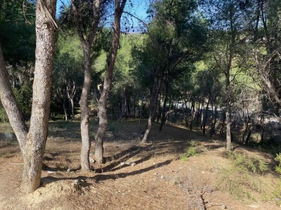 Grundstücke und Bauplätze zum Verkauf in Bosque u12, imagen 10