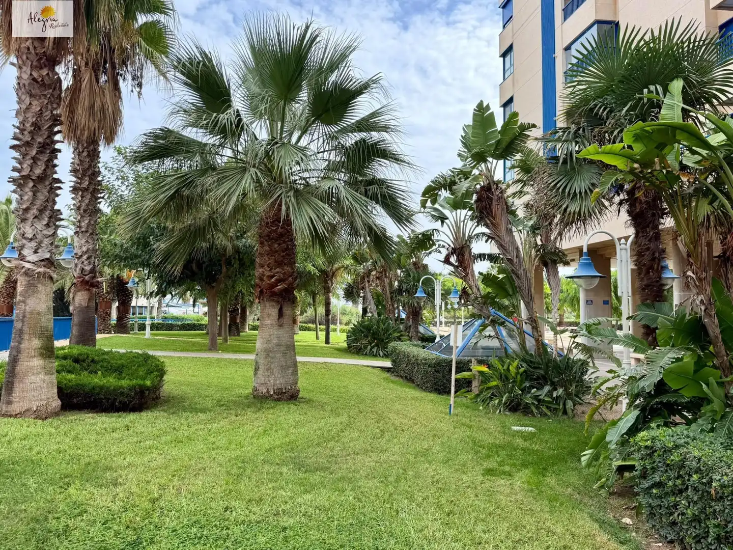 Exterior view of Apartments for rent in La Patacona