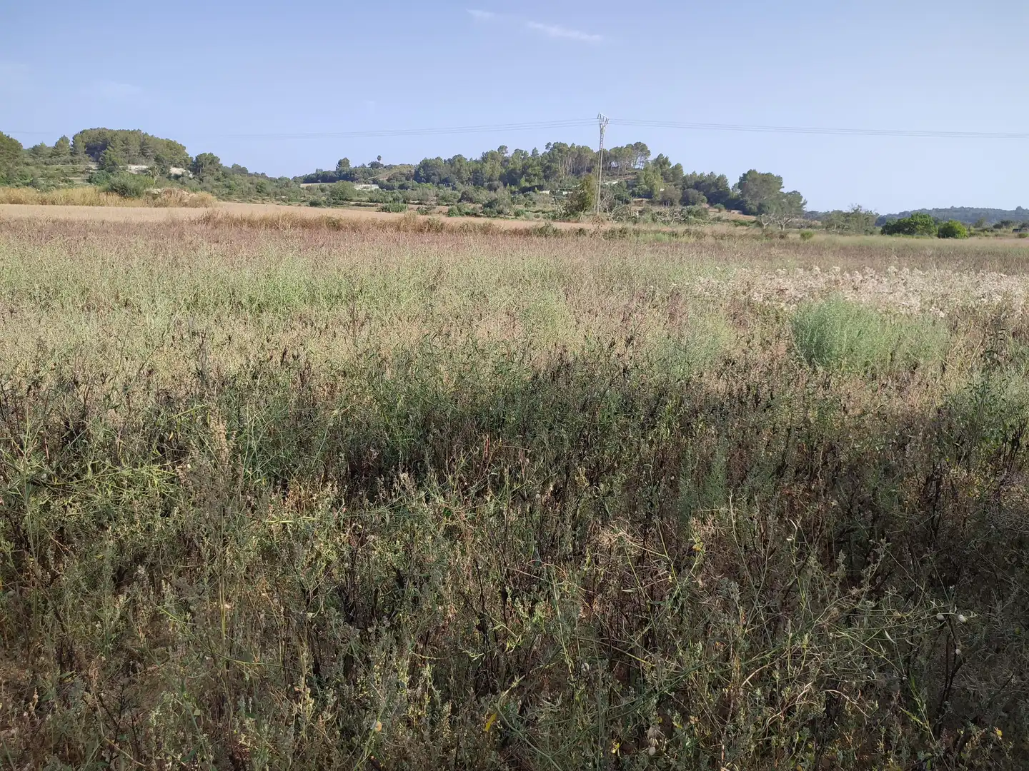 Terrain rustique à vendre à Sant Joan, imagen 9
