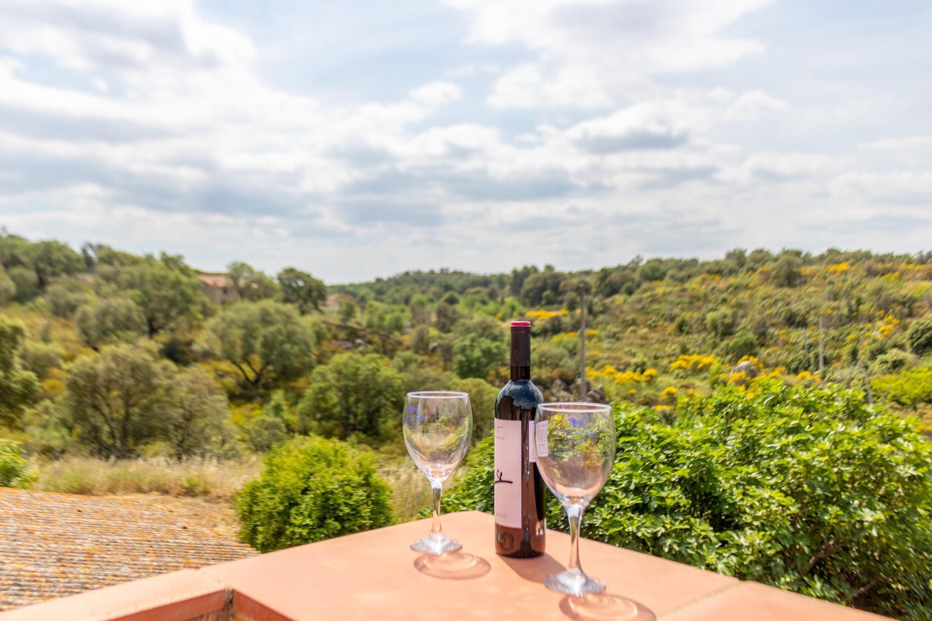 Jardí de Finca rústica en venda en La Jonquera amb Jardí privat, Terrassa i Piscina