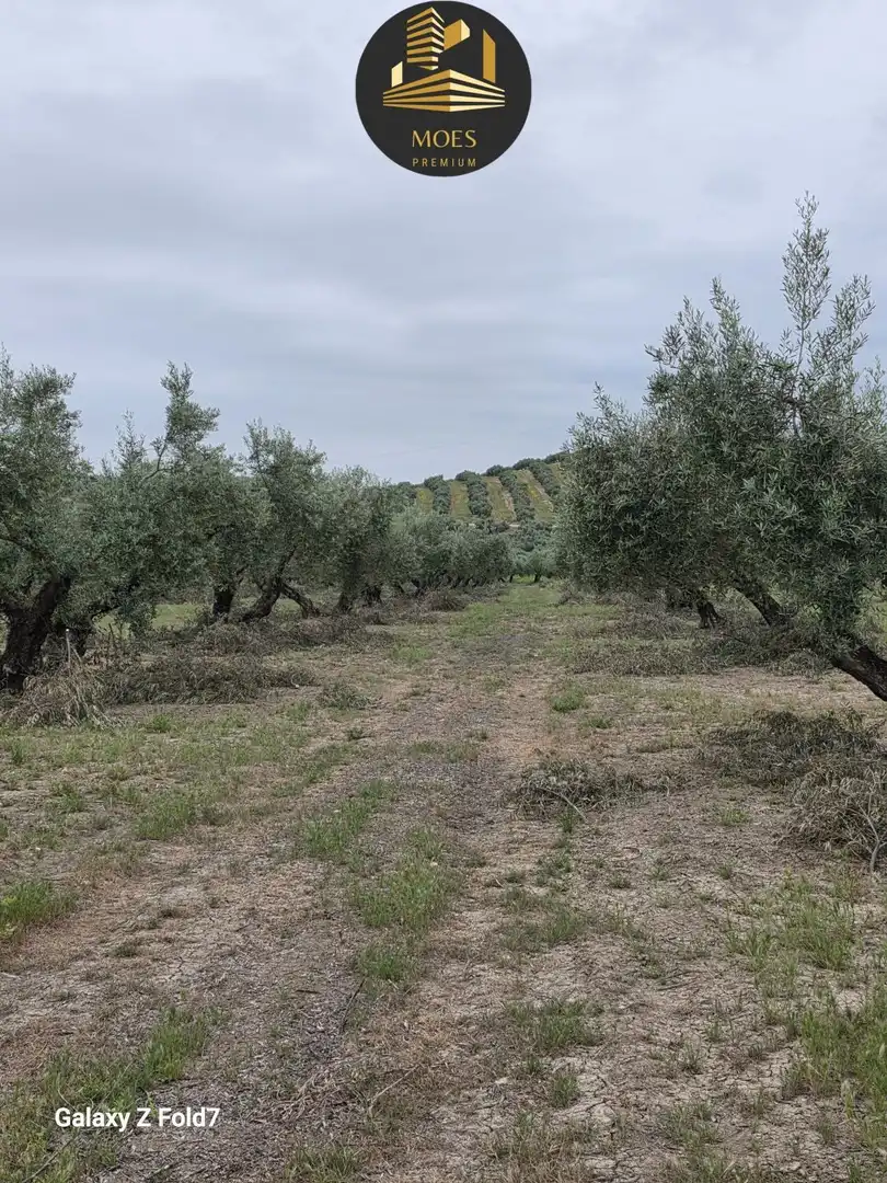 Residencial en venta en Pegalajar