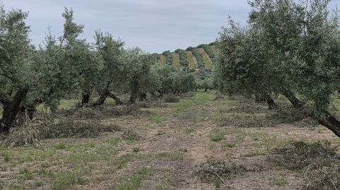 Photo 4 of Residential for sale in Pegalajar, Jaén