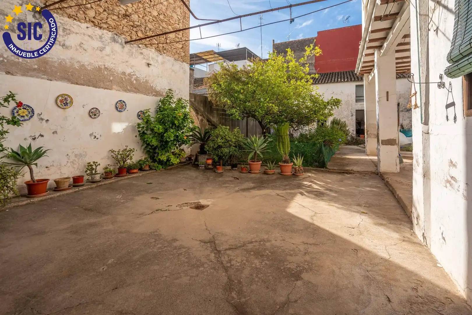 Garden of Ground floor for sale in Carcaixent  with Private garden and Terrace