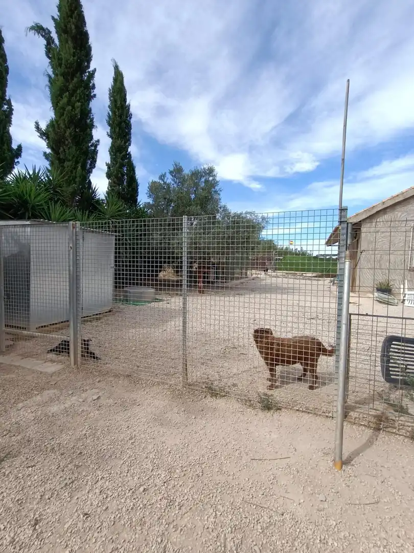 Vista exterior de Finca rústica en venda en Molina de Segura amb Aire condicionat, Calefacció i Piscina