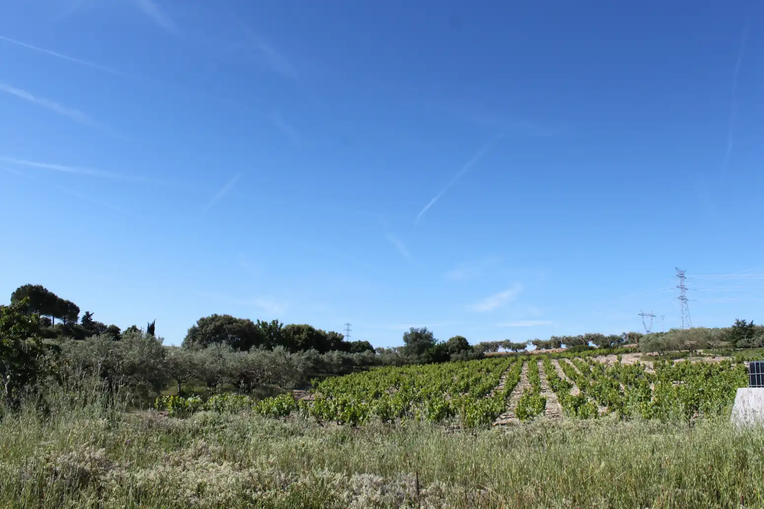 Terreno en venta en Tafalla