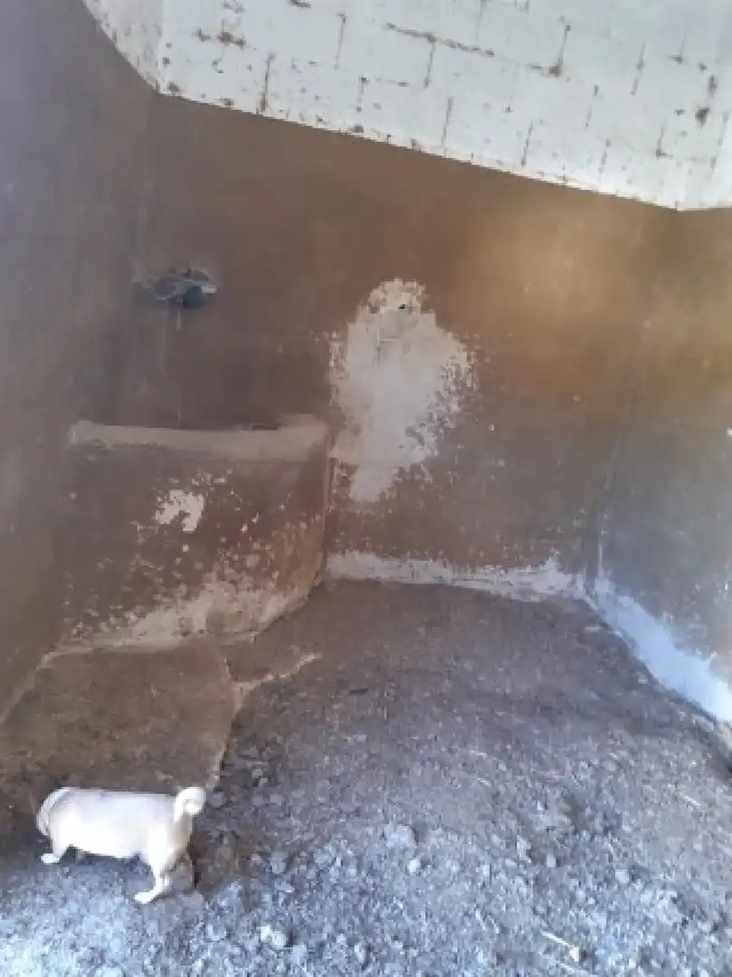 Xalet amb piscina en venda a Monóvar  / Monòver, imagen 66