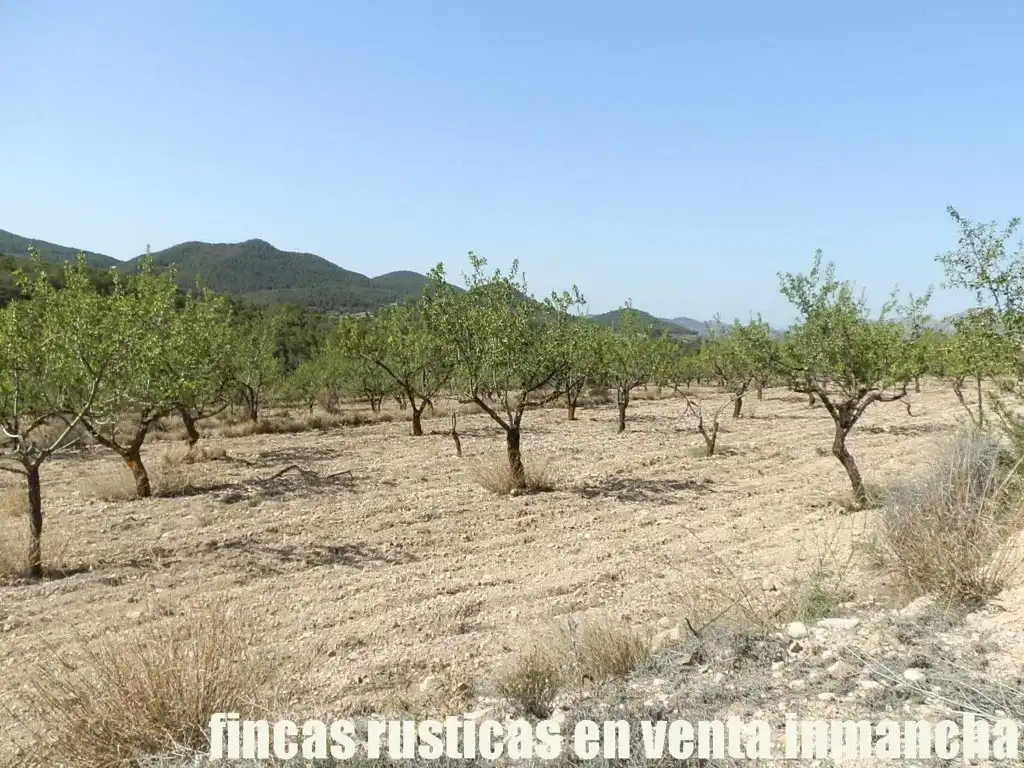 Terreny rústic en venda a Jijona / Xixona, imagen 10