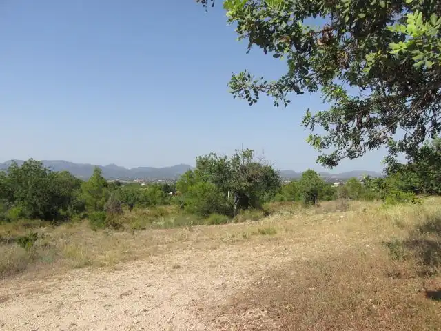 Terreno residenziale in vendita a La Conarda - Montesano, imagen 4