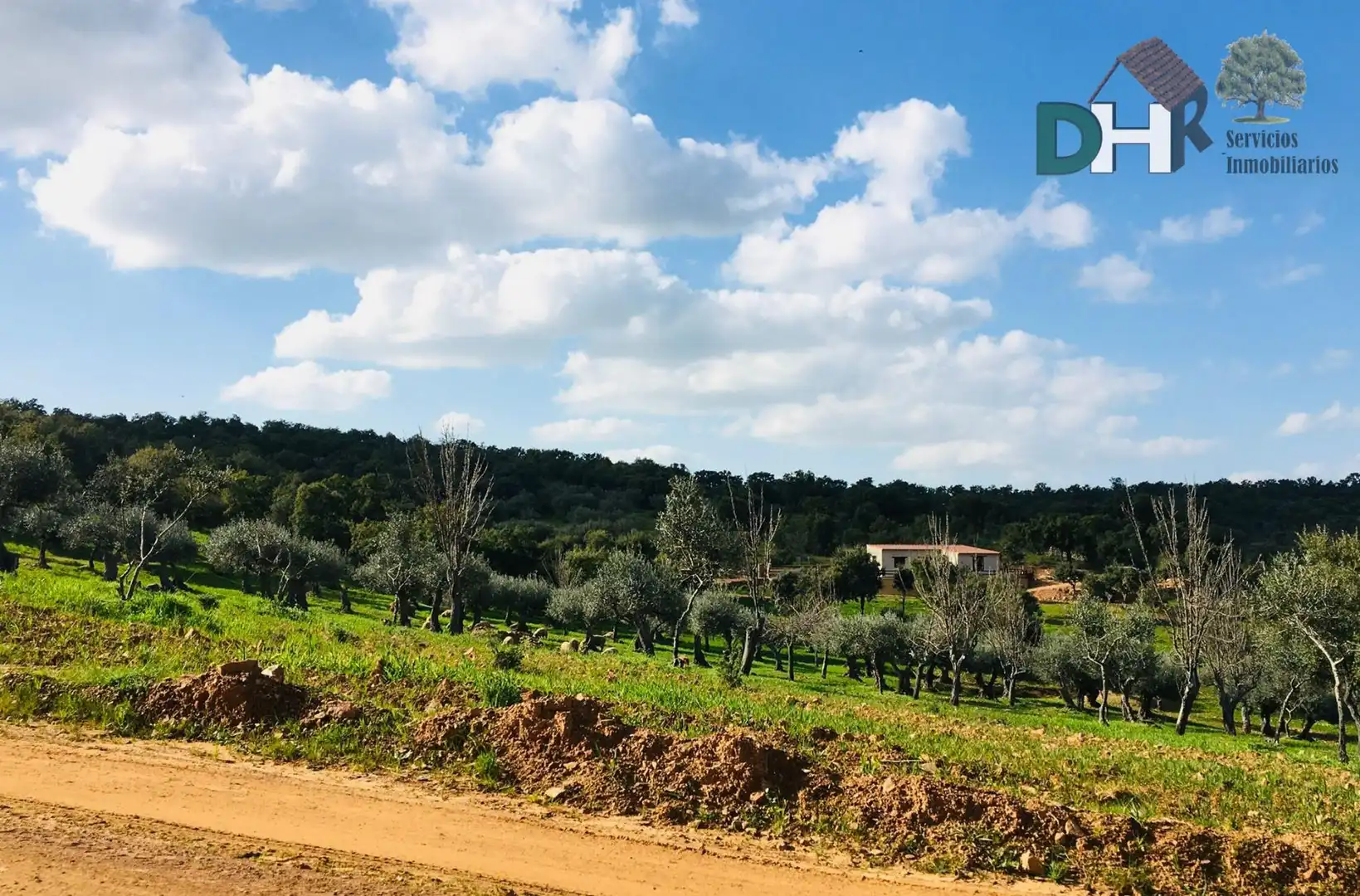 Finca rústica en venta en Estación Arroyo Malpartida